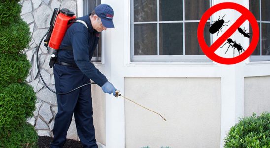 Malazgirt Akrep İlaçlama böcek ilaçlama ve haşere kontrolü — ilaclama-tr.com
